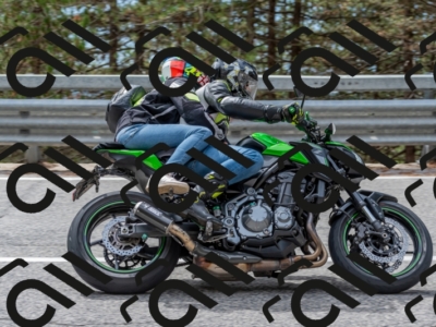 22092024-500_6719