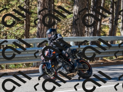 03112024-DSC07836