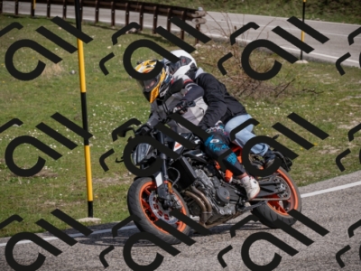 19042025-Z62_5585