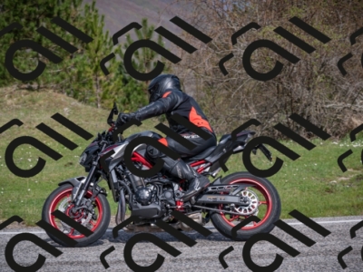 19042025-Z62_5667