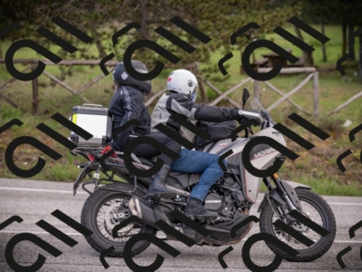 26042025-Z62_7708