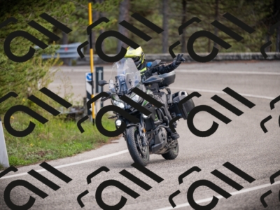 26042025-Z62_7736