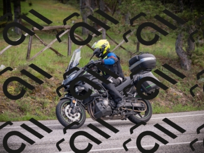 26042025-Z62_7738