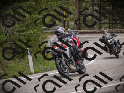 26042025-Z62_7815