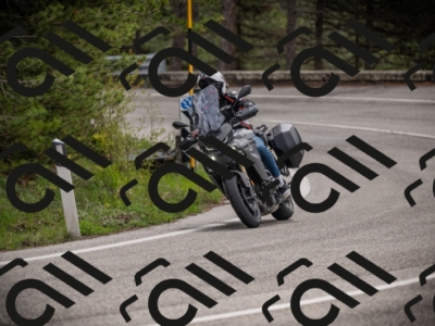 26042025-Z62_7844