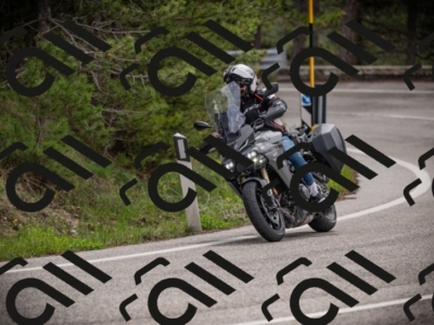 26042025-Z62_7846