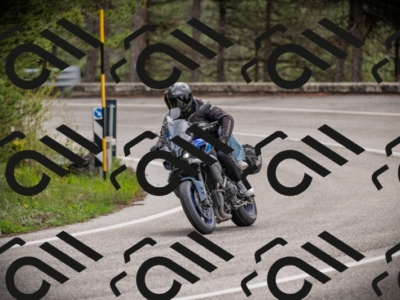 26042025-Z62_7855