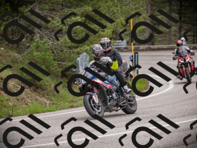 26042025-Z62_7884