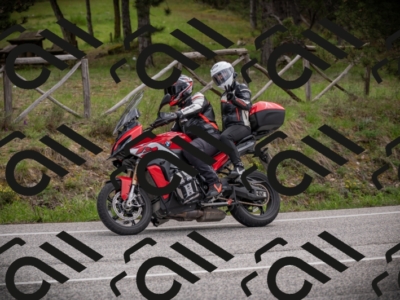26042025-Z62_7890