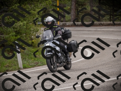 26042025-Z62_7895