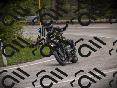 26042025-Z62_7908