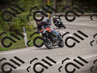 26042025-Z62_8150