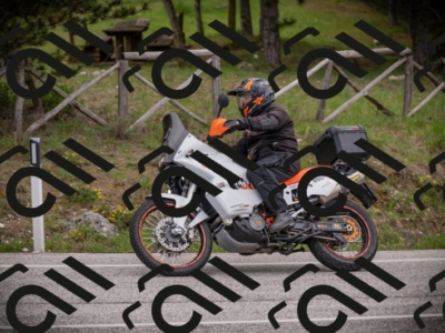 26042025-Z62_8168