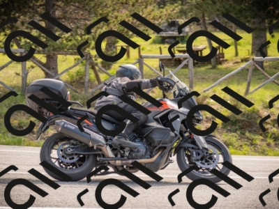 27042025-500_4548