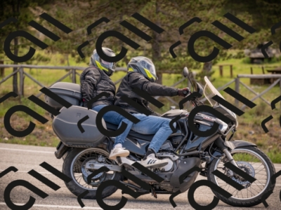 27042025-Z62_8439