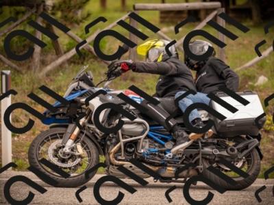 27042025-Z62_8697