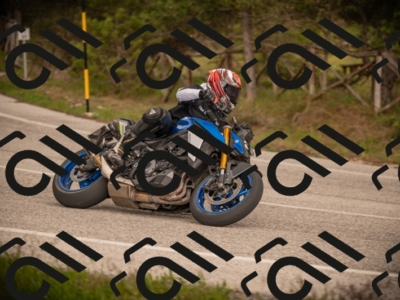 27042025-Z62_9510