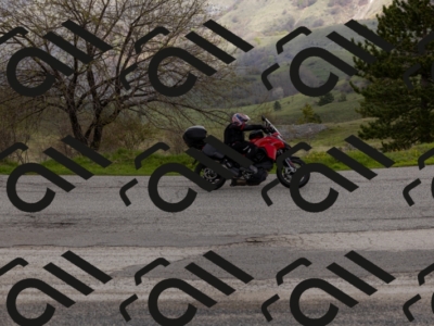 27042025-_04A2341