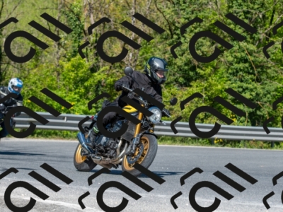 SMN5957