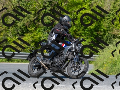 SMN6497