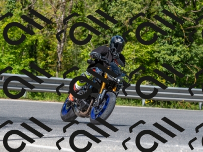 SMN6933