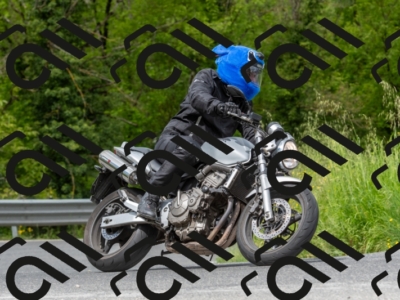 SMN7944