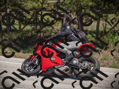 01052025-Z62_9684