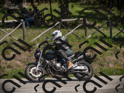 01052025-Z62_0002