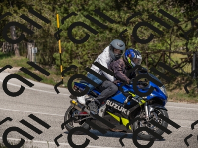 01052025-Z62_0325