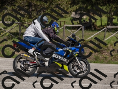 01052025-Z62_0327