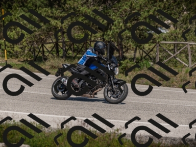 01052025-Z62_0331
