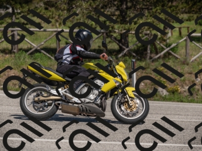 01052025-Z62_0335
