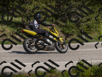01052025-Z62_0337