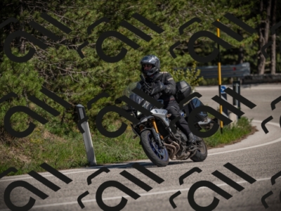 01052025-Z62_0531