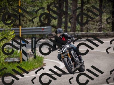10052025-Z62_7474