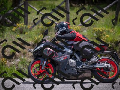 10052025-Z62_7478