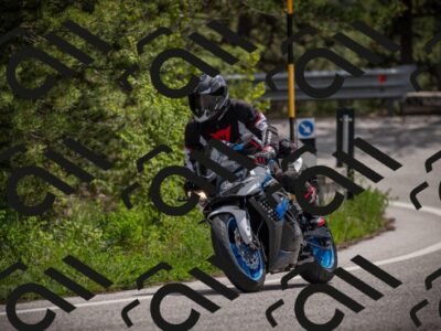 10052025-Z62_7550