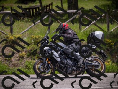 10052025-Z62_7567