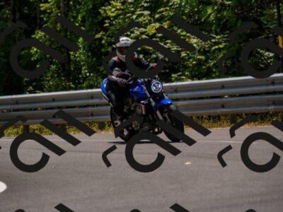 202507061346-_DSC2043_d2_