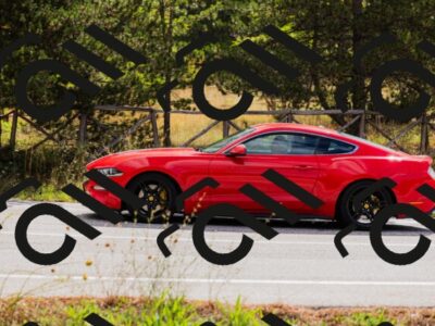 202508301020-_04A5406_c3