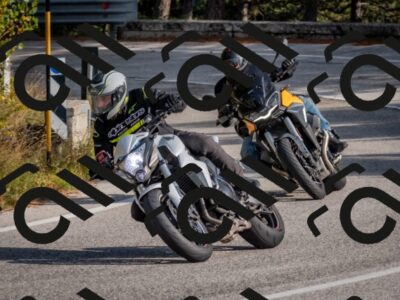 202510191503-DSC_8194_c4_