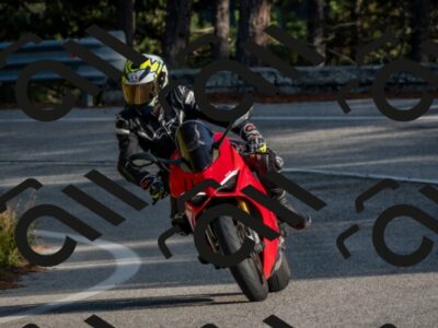 202510191602-DSC_8431_c4_