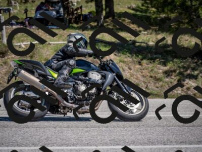 202604191340-DSC_3173_c2