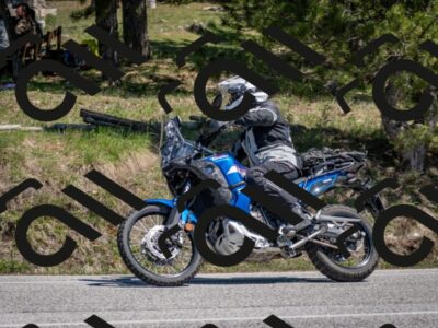 202604191352-DSC_3242_c2