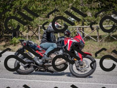 202604191438-DSC_3527_c2
