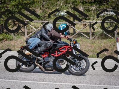 202604191441-DSC_3576_c2