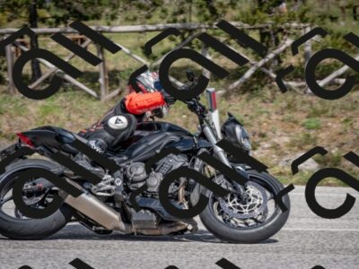 202604191443-DSC_3586_c2