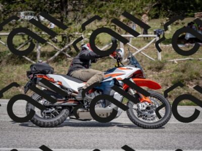 202604191444-DSC_3593_c2