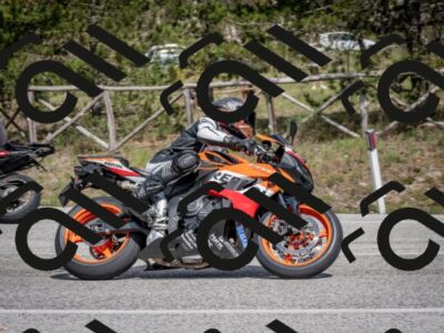 202604191447-DSC_3609_c2