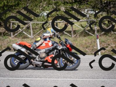 202604191450-DSC_3629_c2